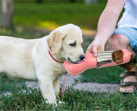 Pet Water Feeder