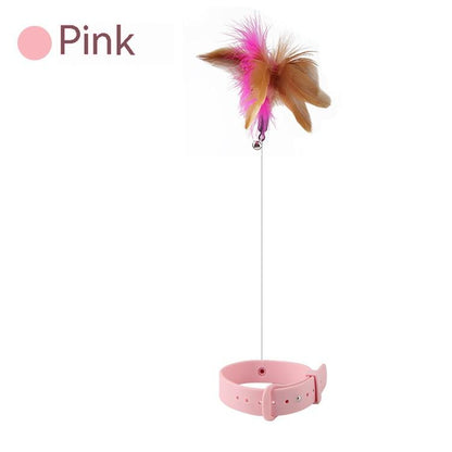 Collar Pet Toy