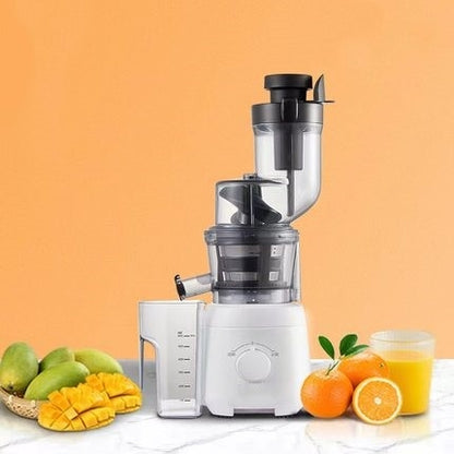 Multifunctional Juicer