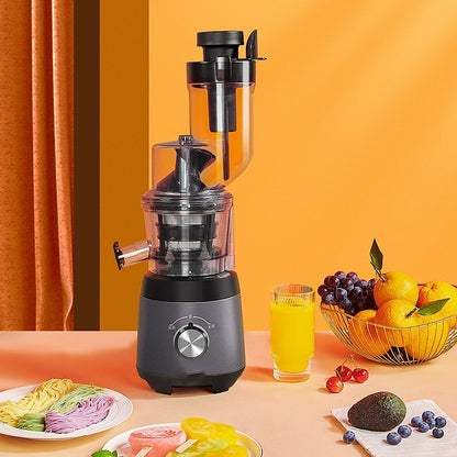 Multifunctional Juicer