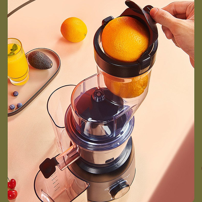 Multifunctional Juicer